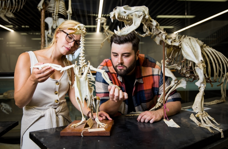 Palaeontology students looking at bones