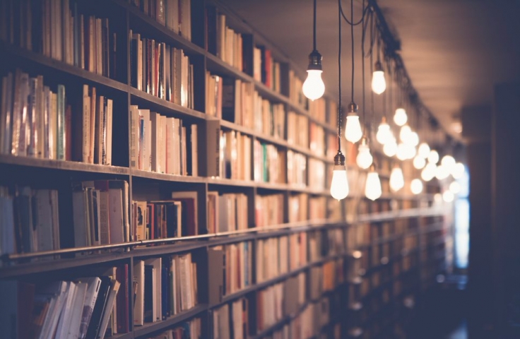 Library Bookshelf